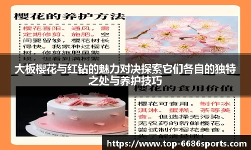大板樱花与红钻的魅力对决探索它们各自的独特之处与养护技巧