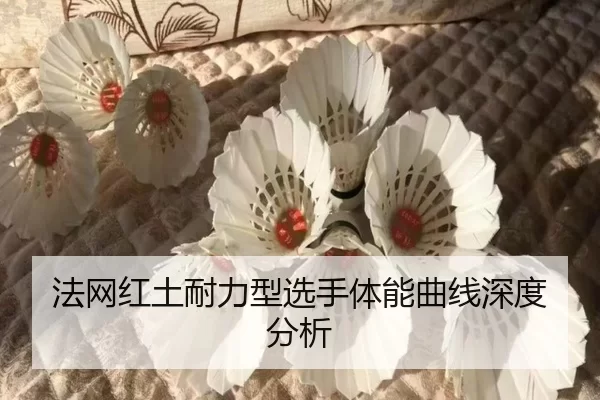 法网红土耐力型选手体能曲线深度分析